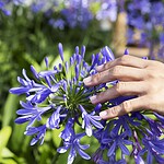 Wenn Henry Neuhauser im Rostocker Garten Hand anlegt