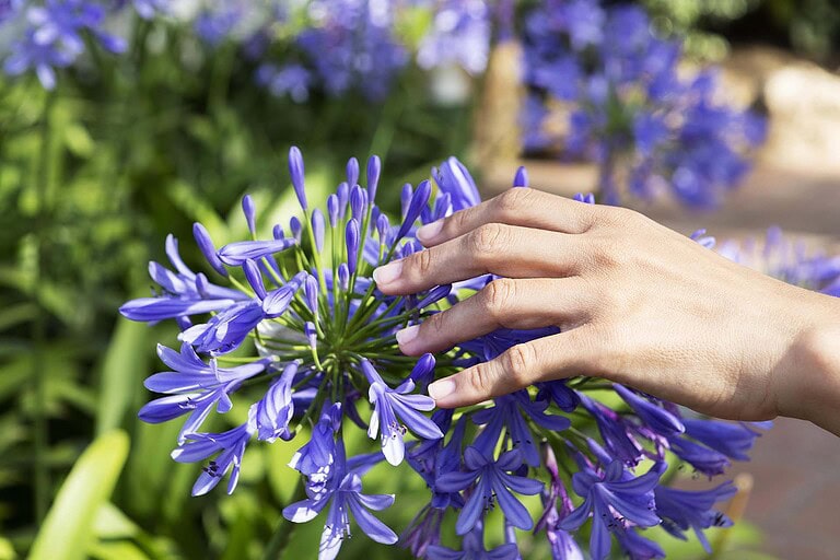 Wenn Henry Neuhauser im Rostocker Garten Hand anlegt